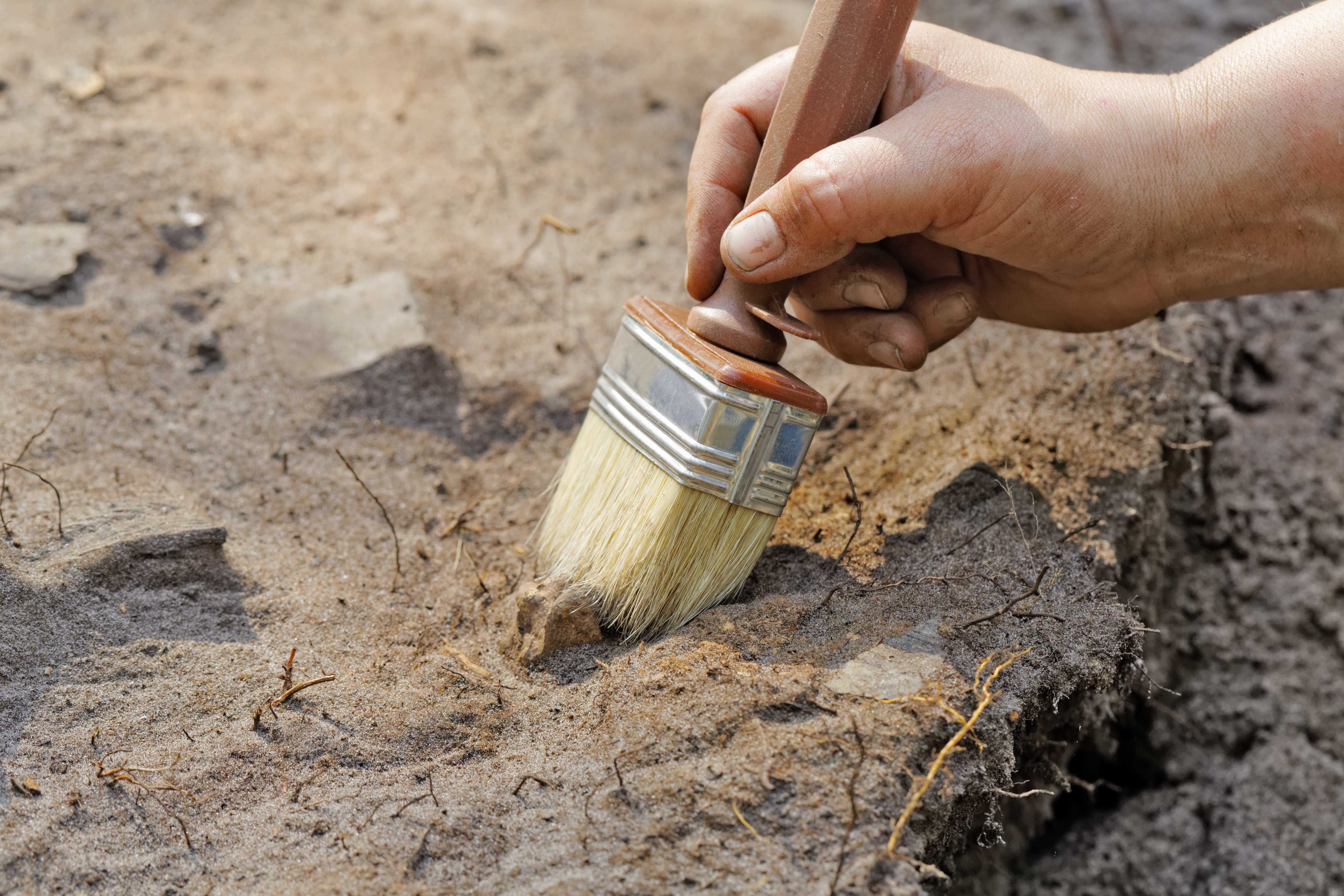 cusco archaeology dig